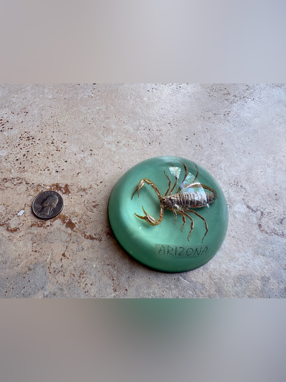 Scorpion Paper Weight - Picture 3 of 4